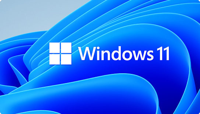 Windows 11 Home vs Pro