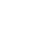 PSE LOGO